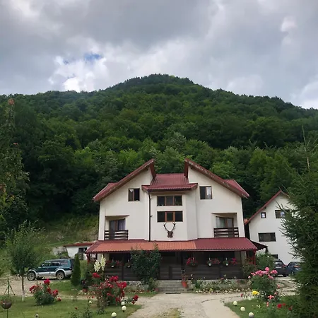 Guest house Todi Mansion