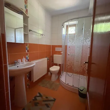 Guest house Todi Mansion Slanic Moldova