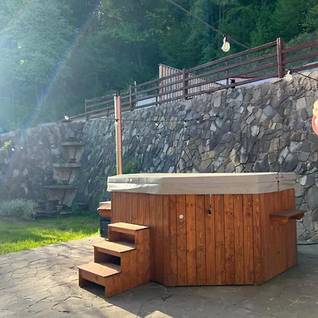 Guest house Todi Mansion Slanic Moldova